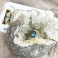 labradorietdruppeltarot